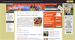 Desktop Screenshot of crisegoutte.com
