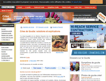 Tablet Screenshot of crisegoutte.com